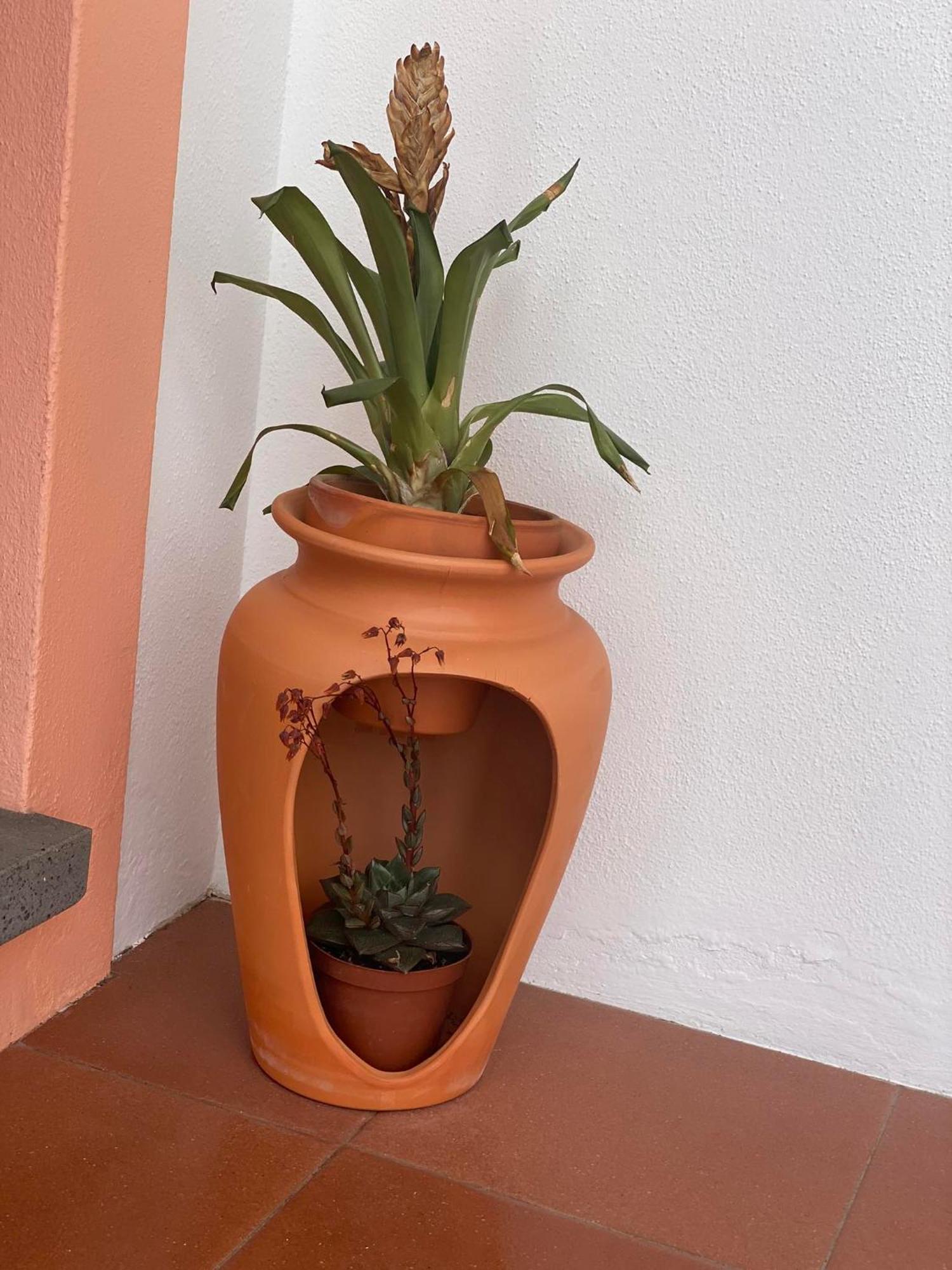Apartamentos Sao Joao Horta  Bagian luar foto